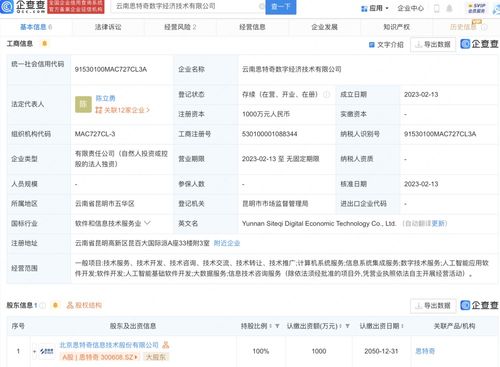 基础软件服务 数字化转型的坚实基石